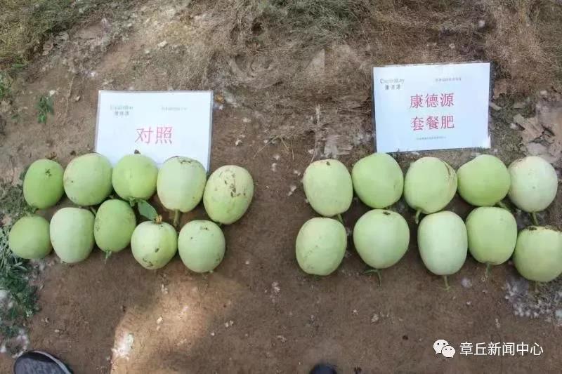 微信图片_20181207170857.jpg