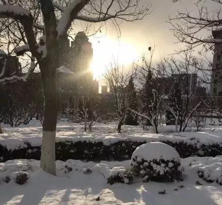 微信图片_20181207172508.jpg