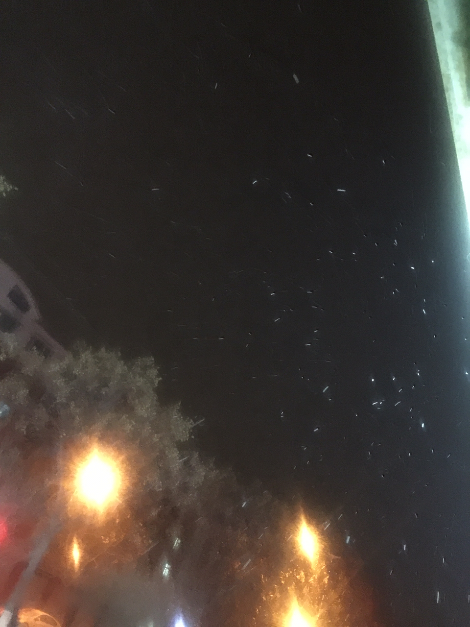 20181211730981544481252746081.jpg