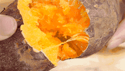 20181212_11262_1544582586474.gif
