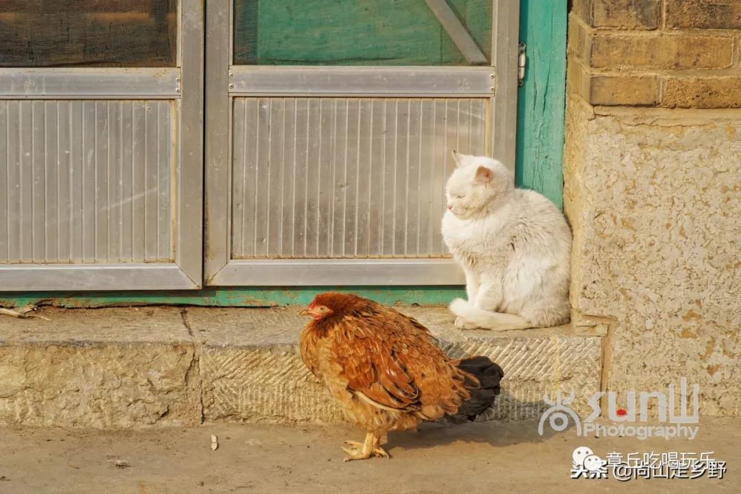 微信图片_20181214141005.jpg