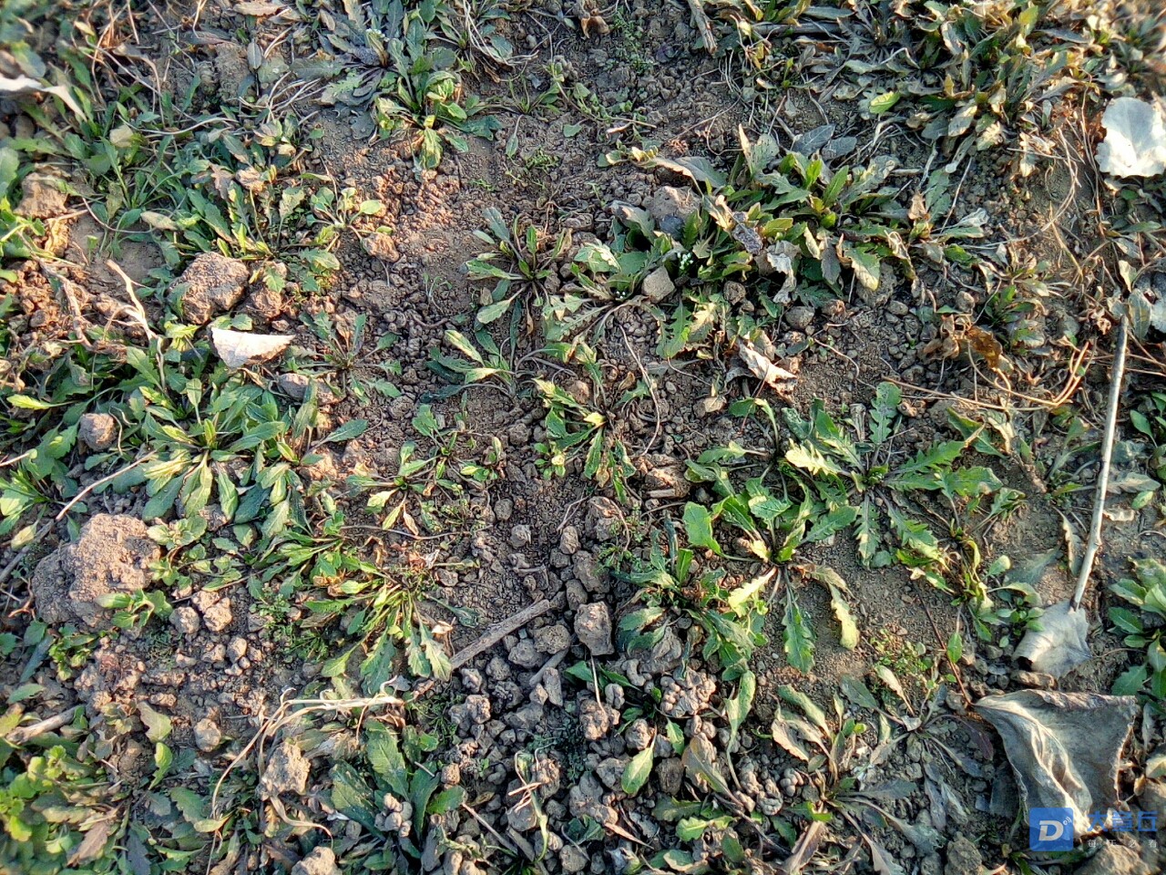 20181214_59487_1544775865390.jpg