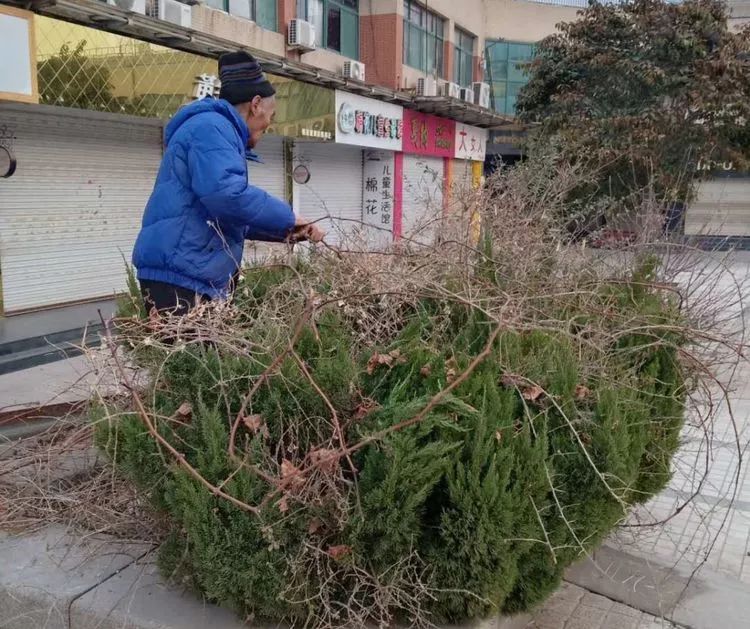 微信图片_20181226080556.jpg