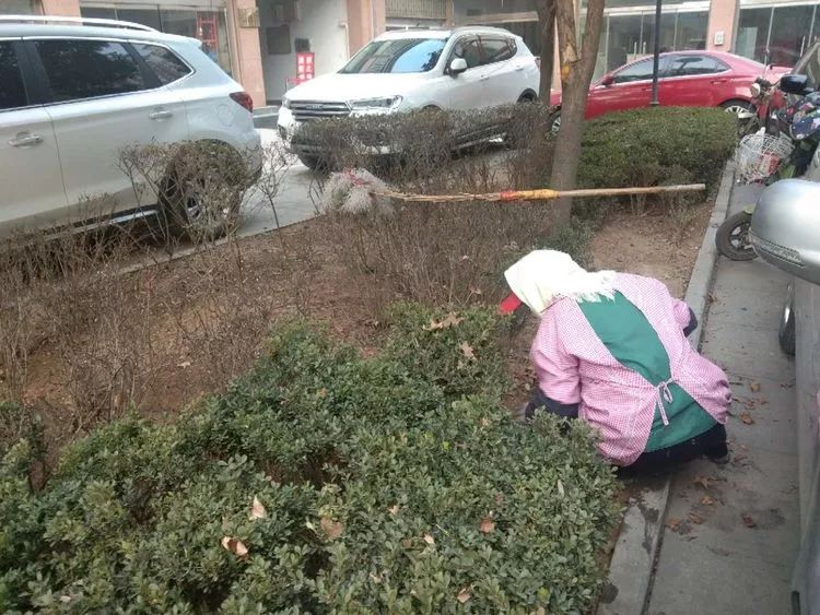 微信图片_20181226080632.jpg