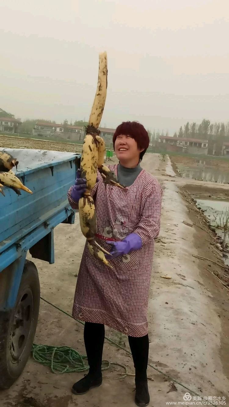 微信图片_20181226145545.jpg
