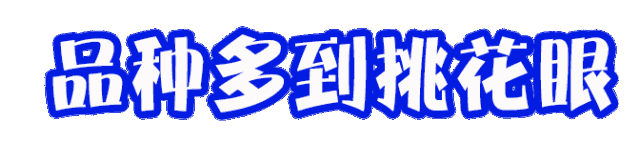 微信图片_20181227143710.gif