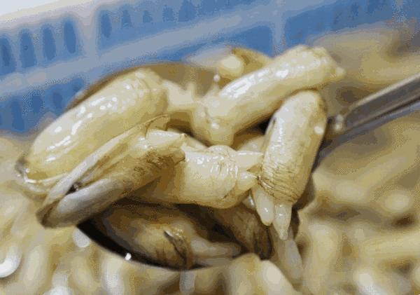 微信图片_20181227143741.gif
