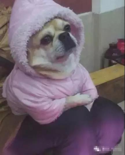 微信图片_20181228171306.jpg