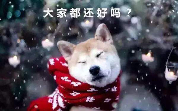 20181230362821546169118968026.jpg