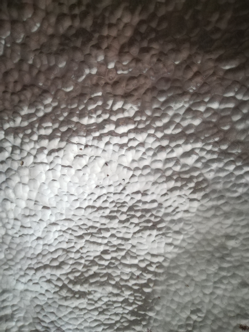 20181231_59483_1546226686867.jpg