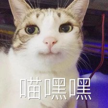 t019d205edb3c6269d8.jpg