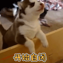 微信图片_20190104141700.gif