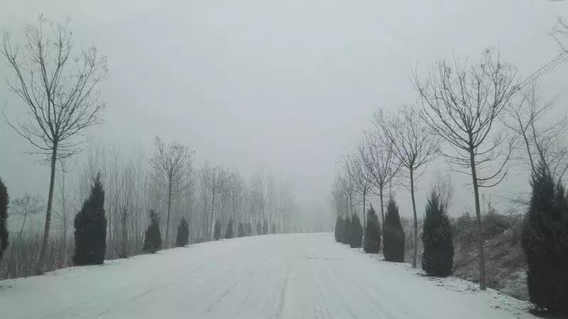 微信图片_20190104141803.jpg