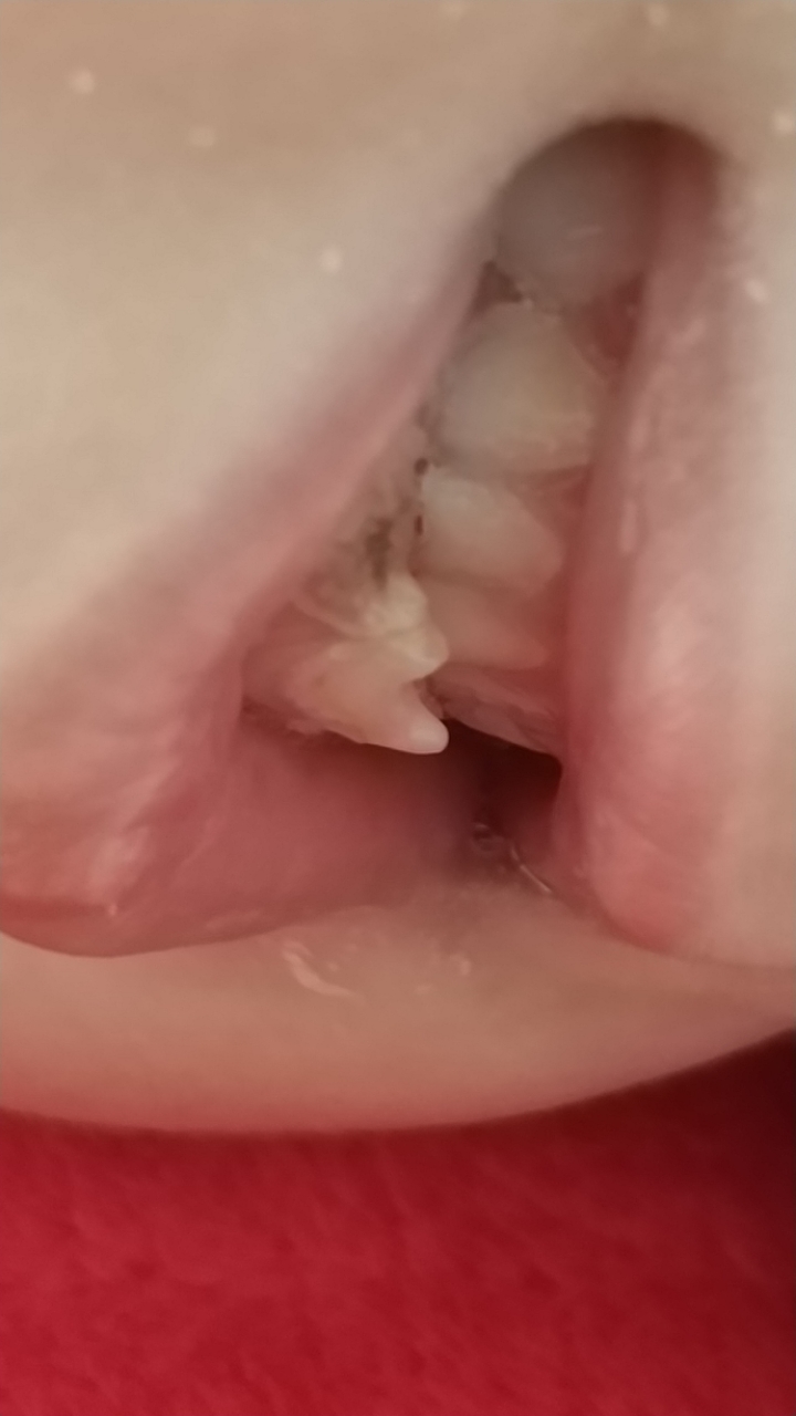 20190105_59184_1546617933039.jpg