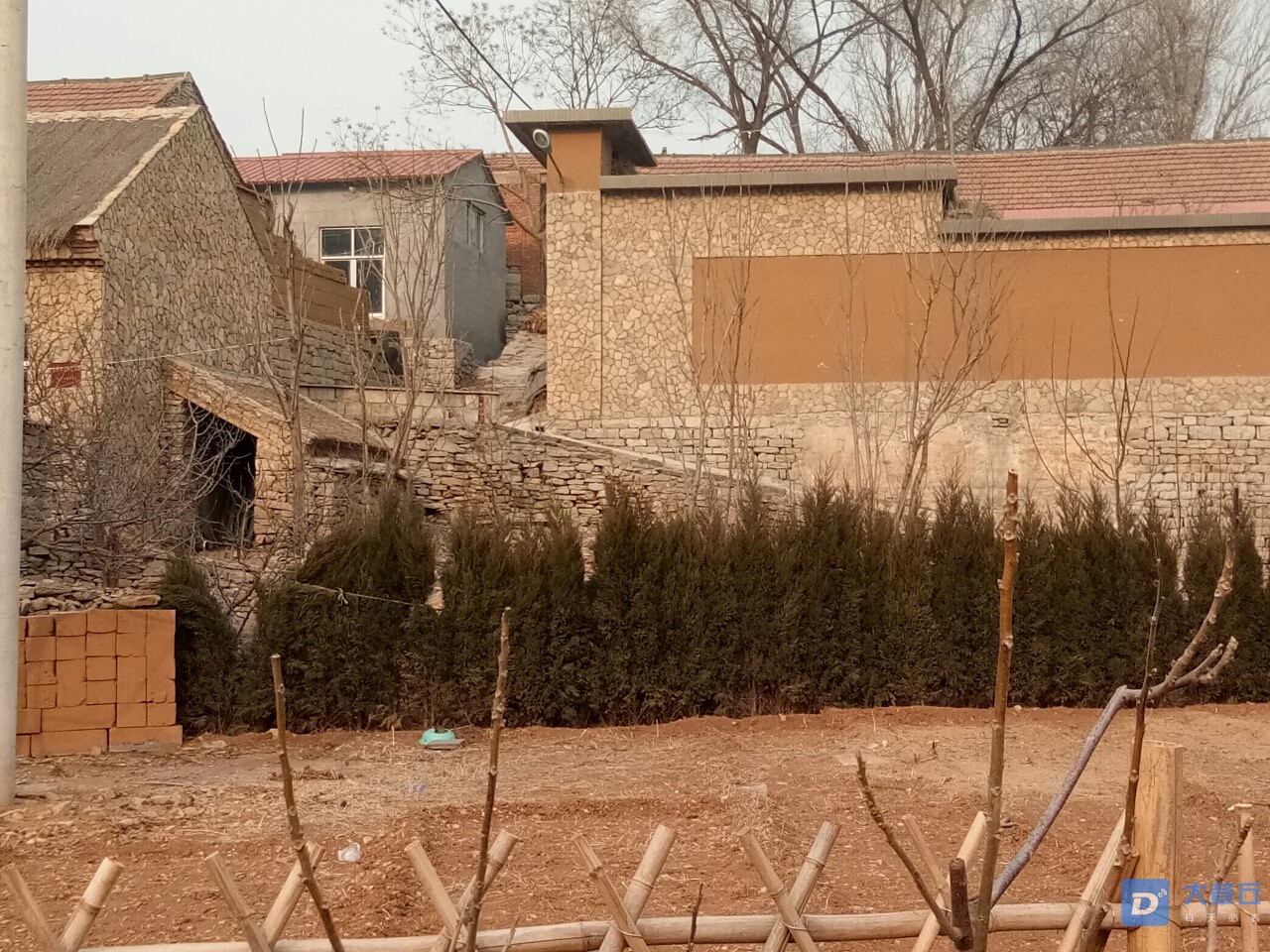 20190108_66565_1546919960193.jpg