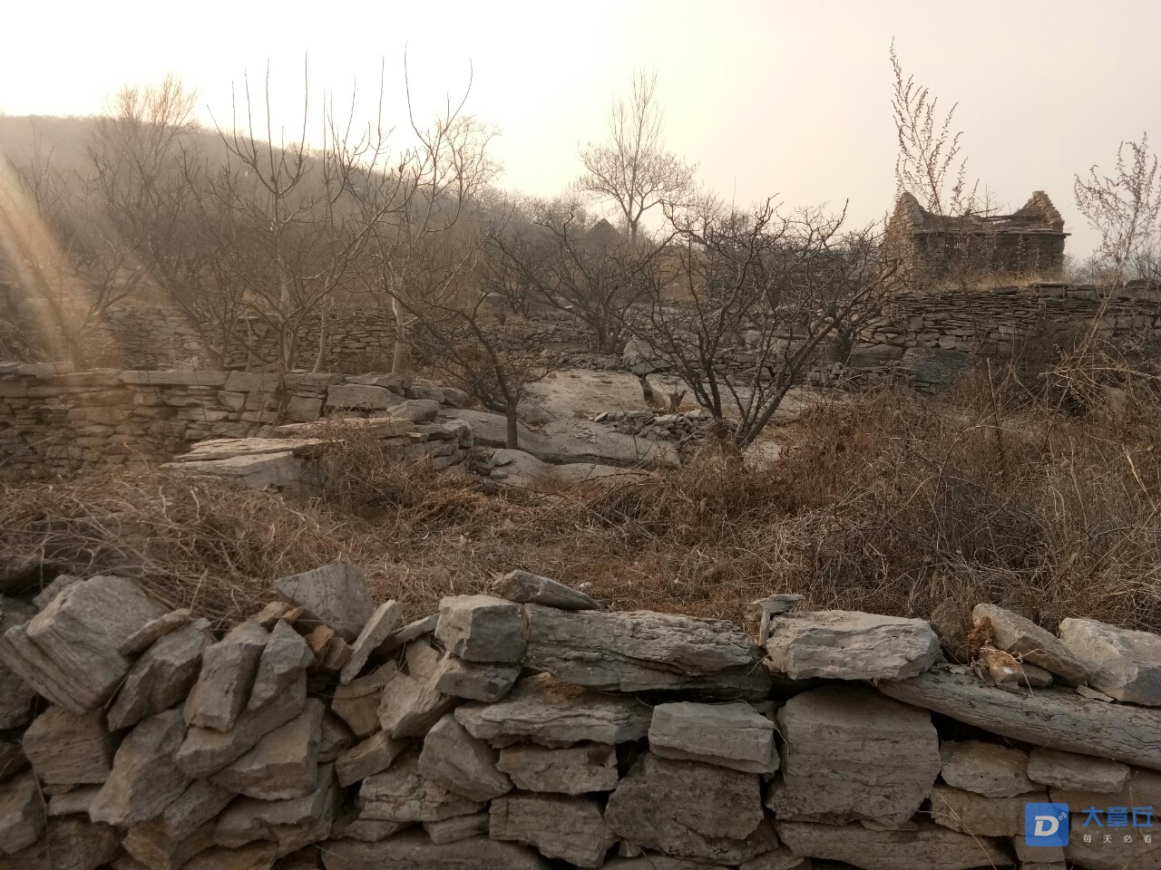 20190108_66565_1546919961328.jpg