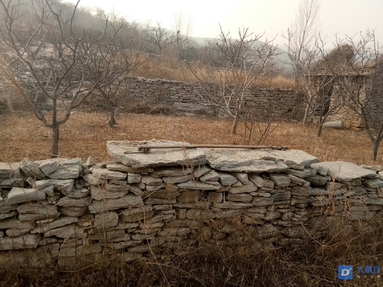 20190108_66565_1546919962691.jpg