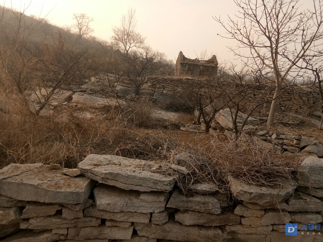 20190108_66565_1546919964136.jpg