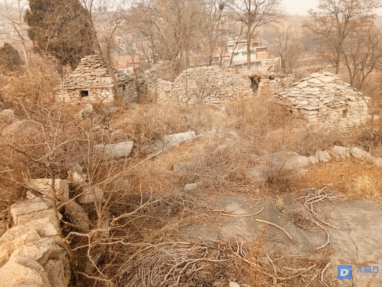 20190108_66565_1546919964825.jpg