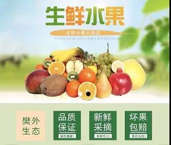 微信图片_20190110133724.jpg