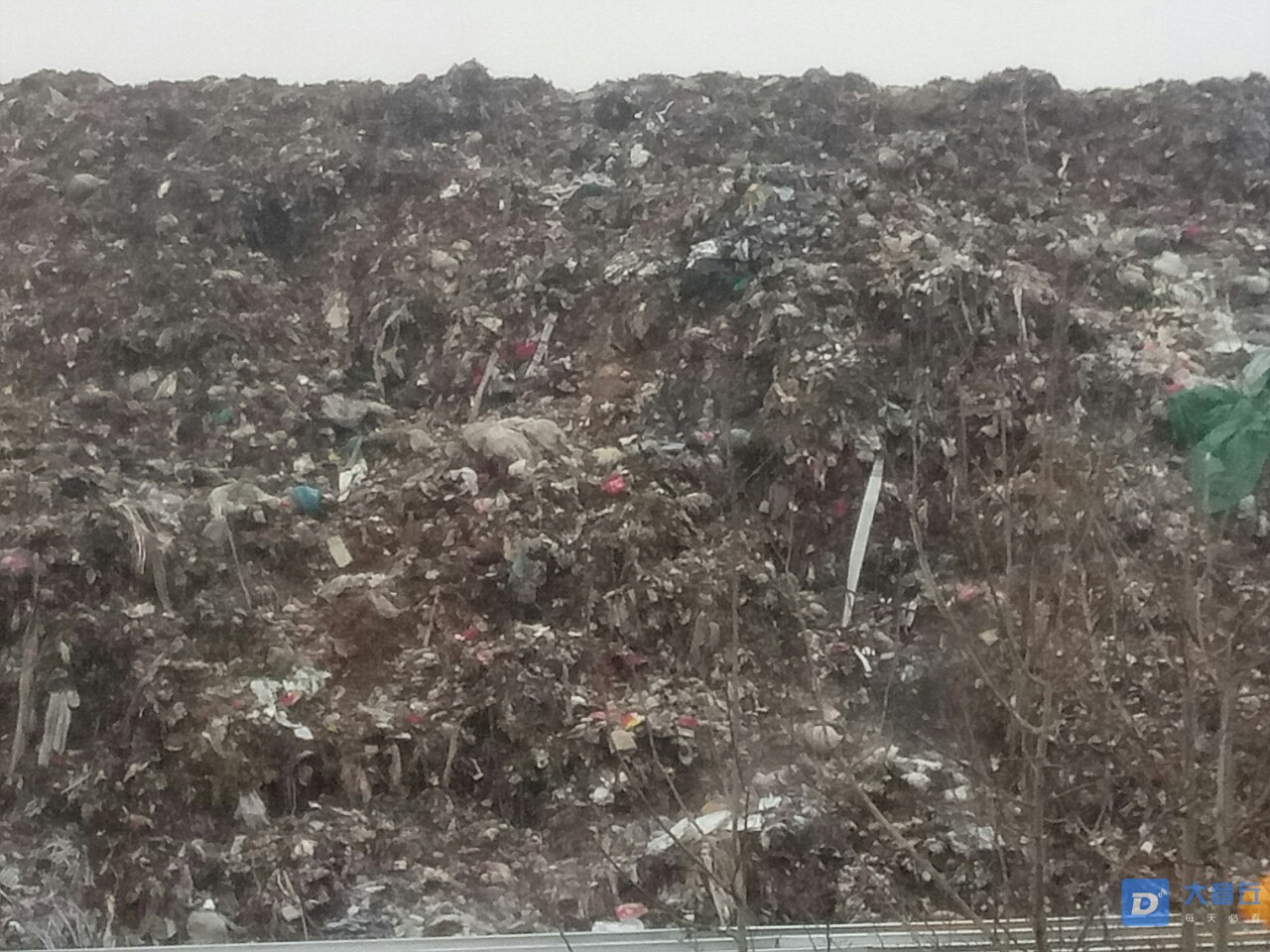 20190114_86430_1547434715812.jpg