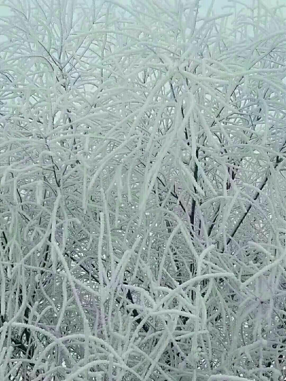 20190115_21065_1547508140370.jpg