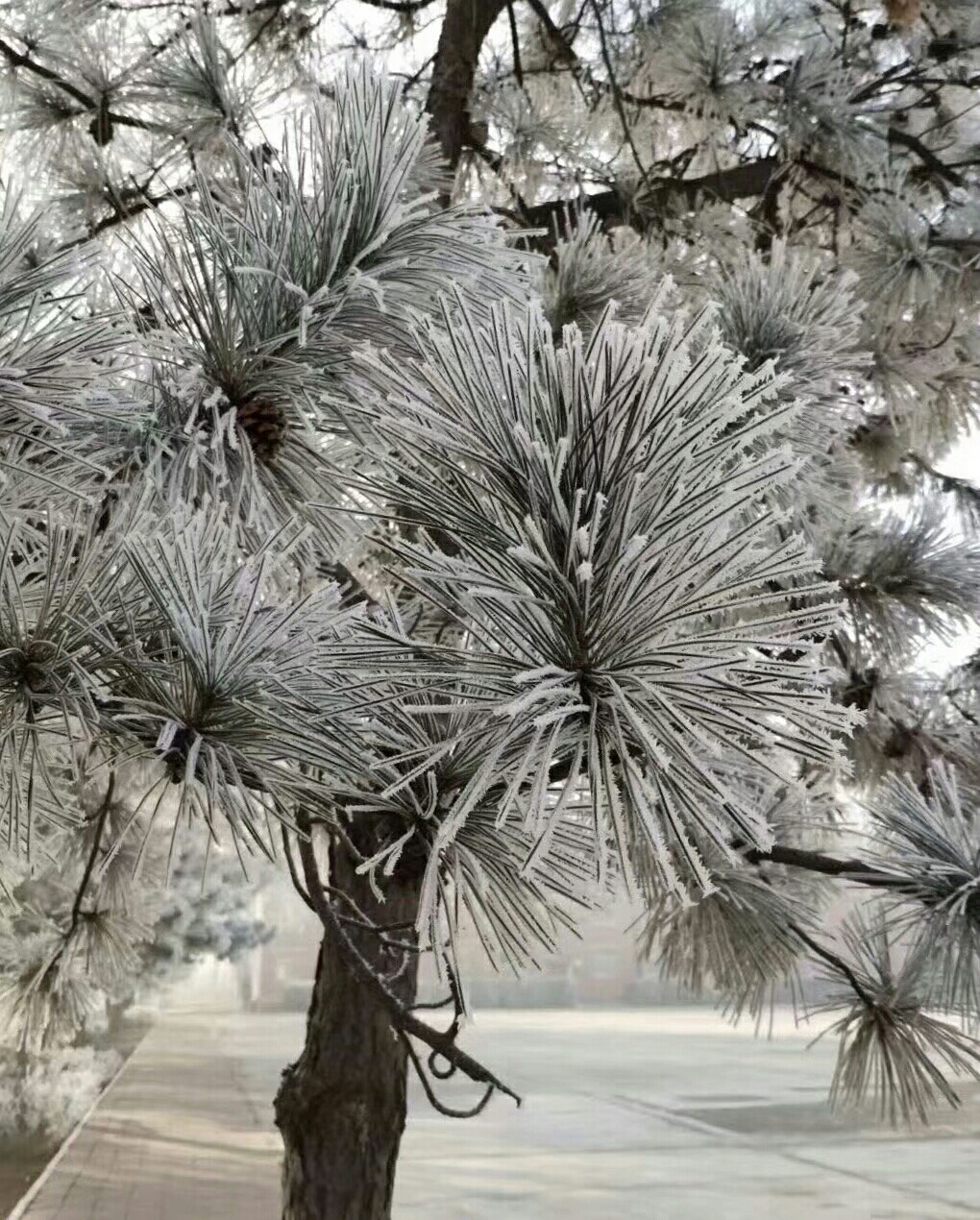 20190115_21065_1547508140968.jpg