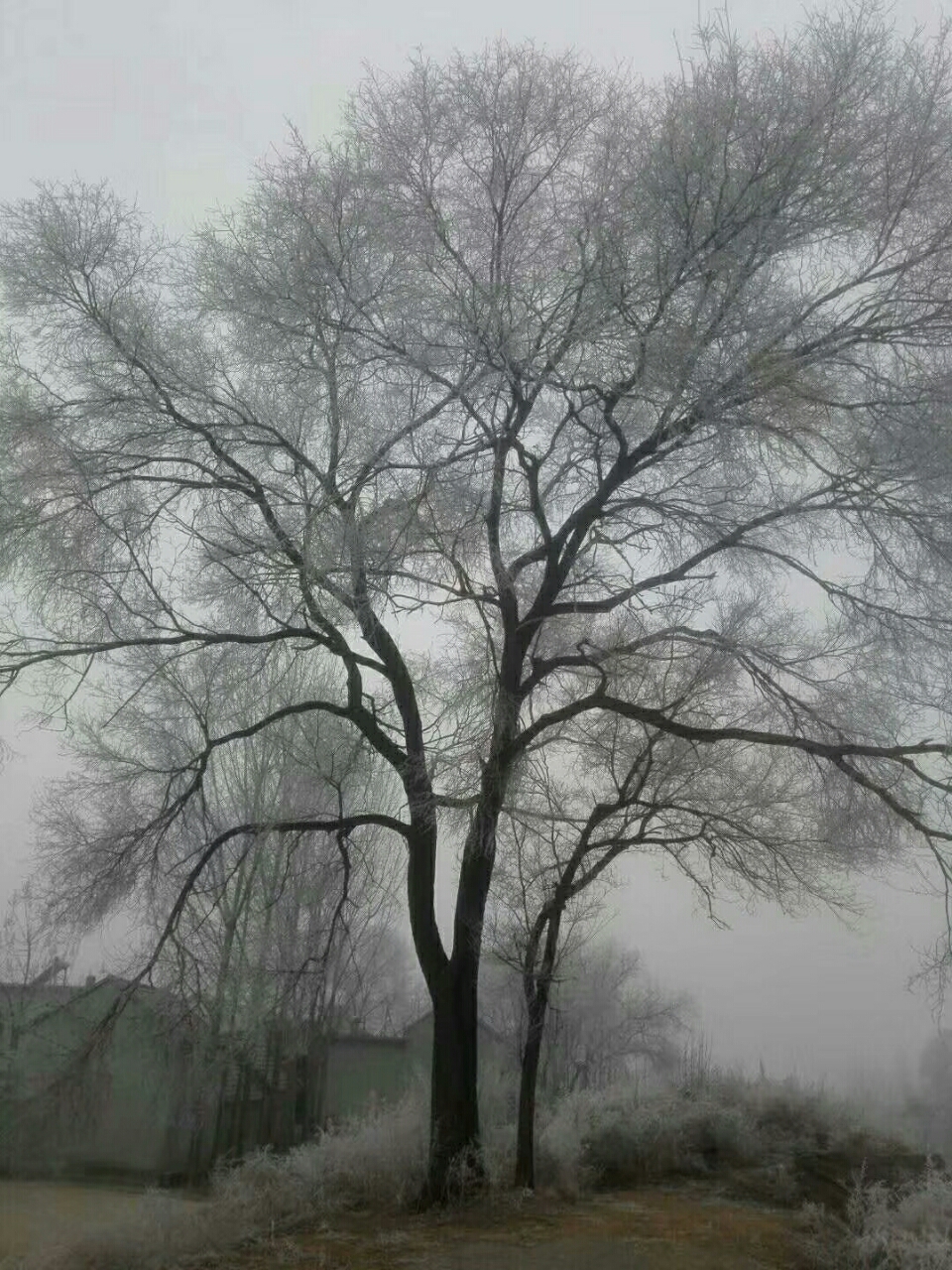 20190115_21065_1547508140651.jpg