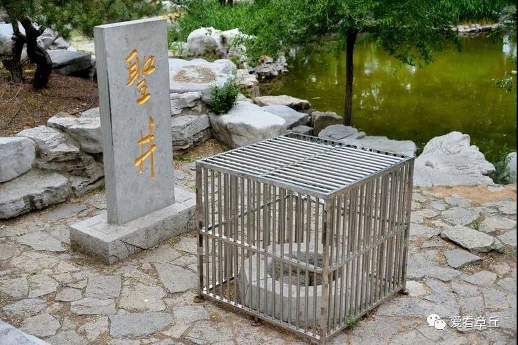 微信图片_20190117091003.jpg
