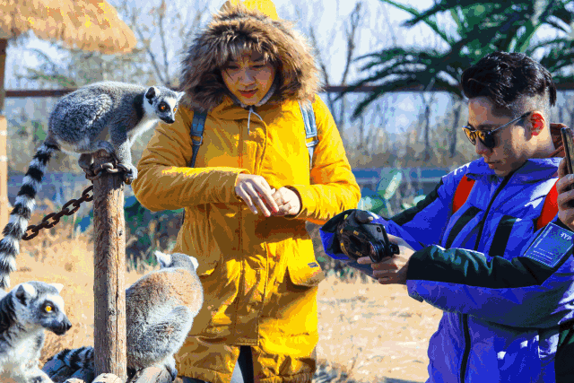 微信图片_20190117101419.gif