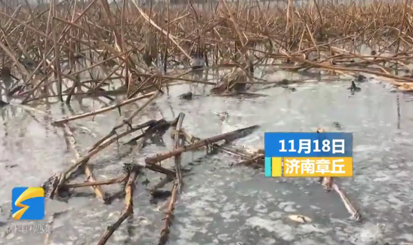 微信截图_20190119165037.png