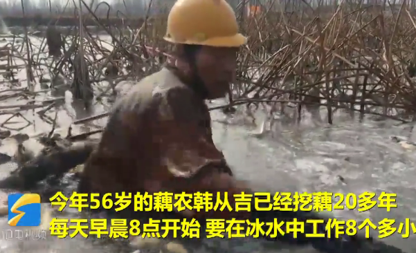 微信截图_20190119165117.png