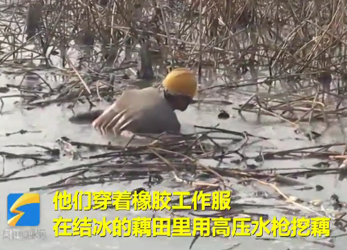 微信截图_20190119165103.png