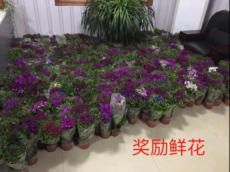 微信图片_20190122085518.jpg