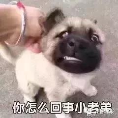 微信图片_20190122090817.jpg