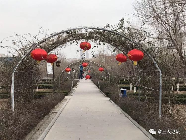 微信图片_20190123092409.jpg