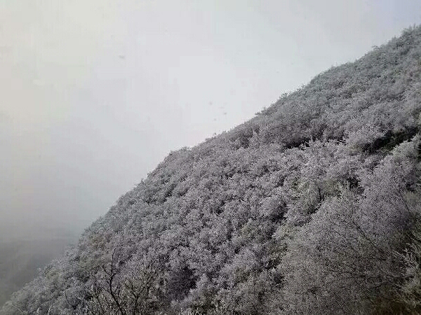 20190207_13380_1549529000958.jpg