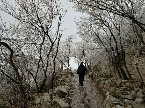 20190207_13380_1549529001001.jpg
