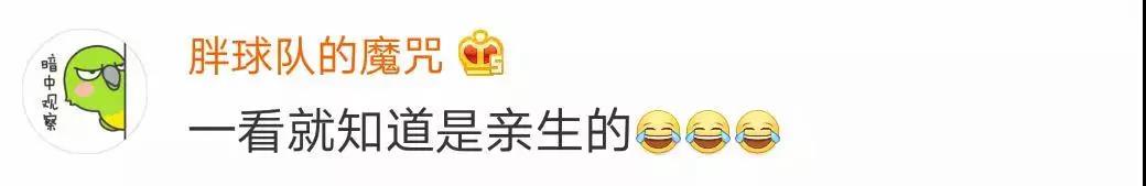 微信图片_20190211145213.jpg