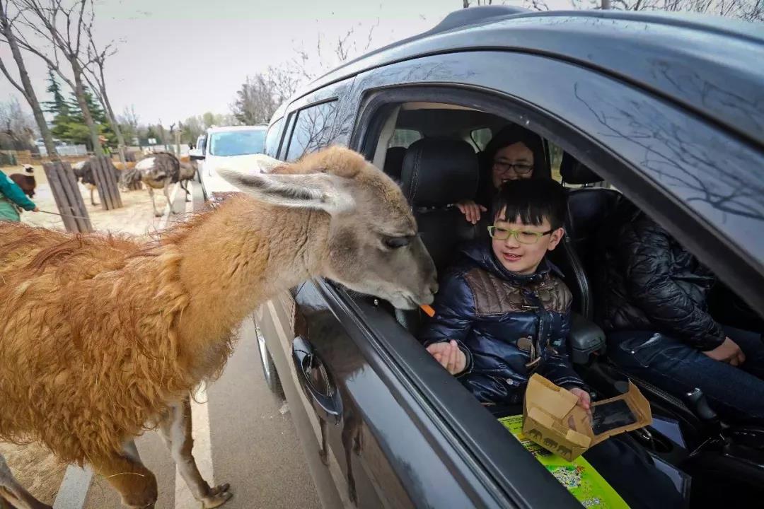 微信图片_20190212082742.jpg