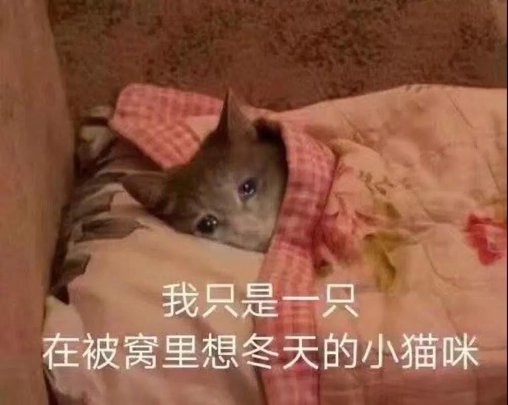 微信图片_20190212085301.jpg