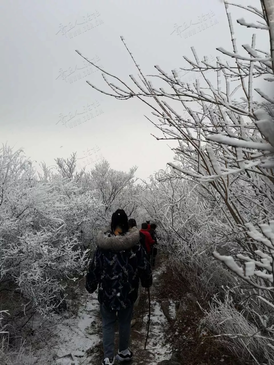 20190213_92150_1550036245343.jpg