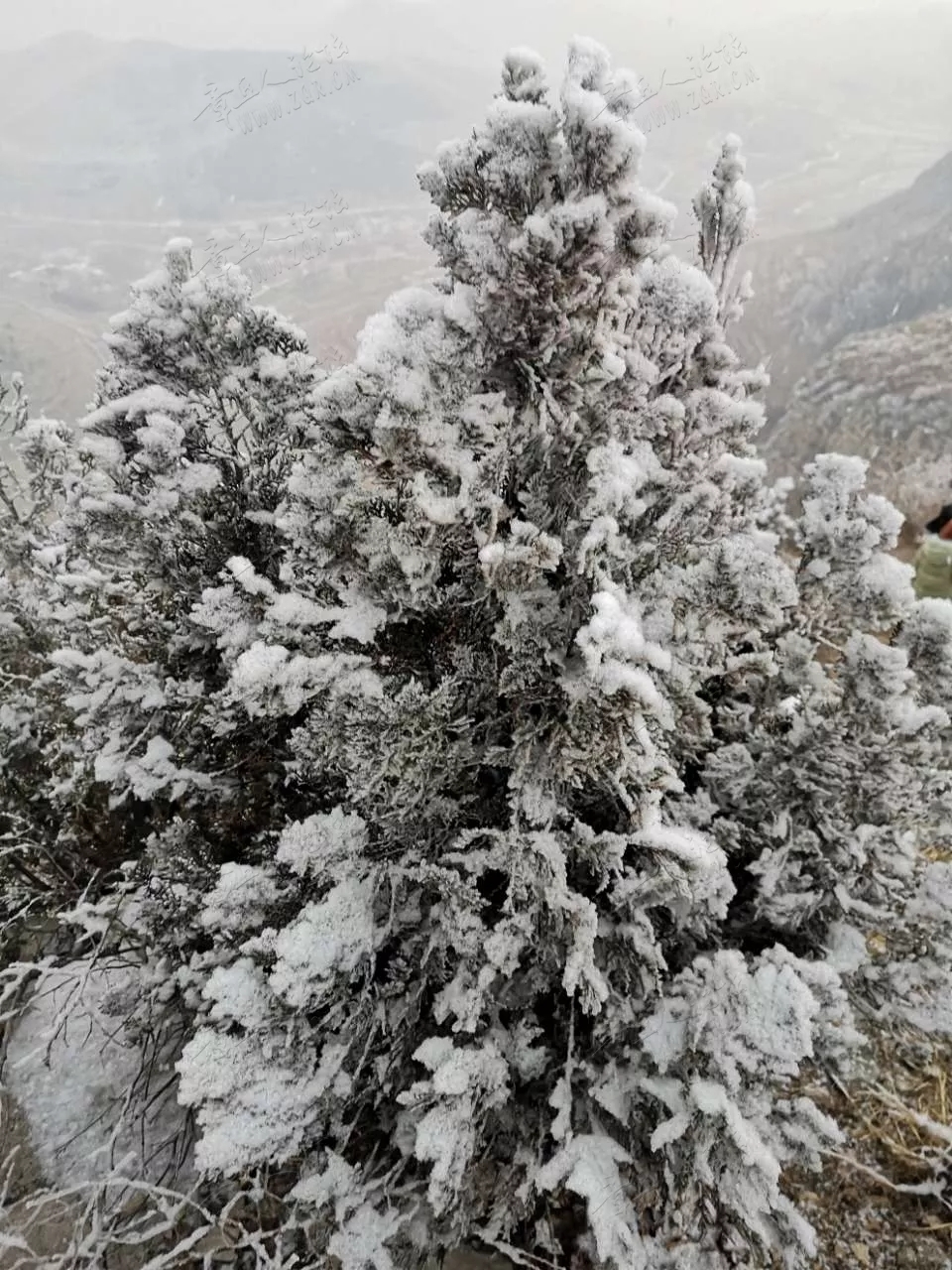 20190213_92150_1550036245613.jpg
