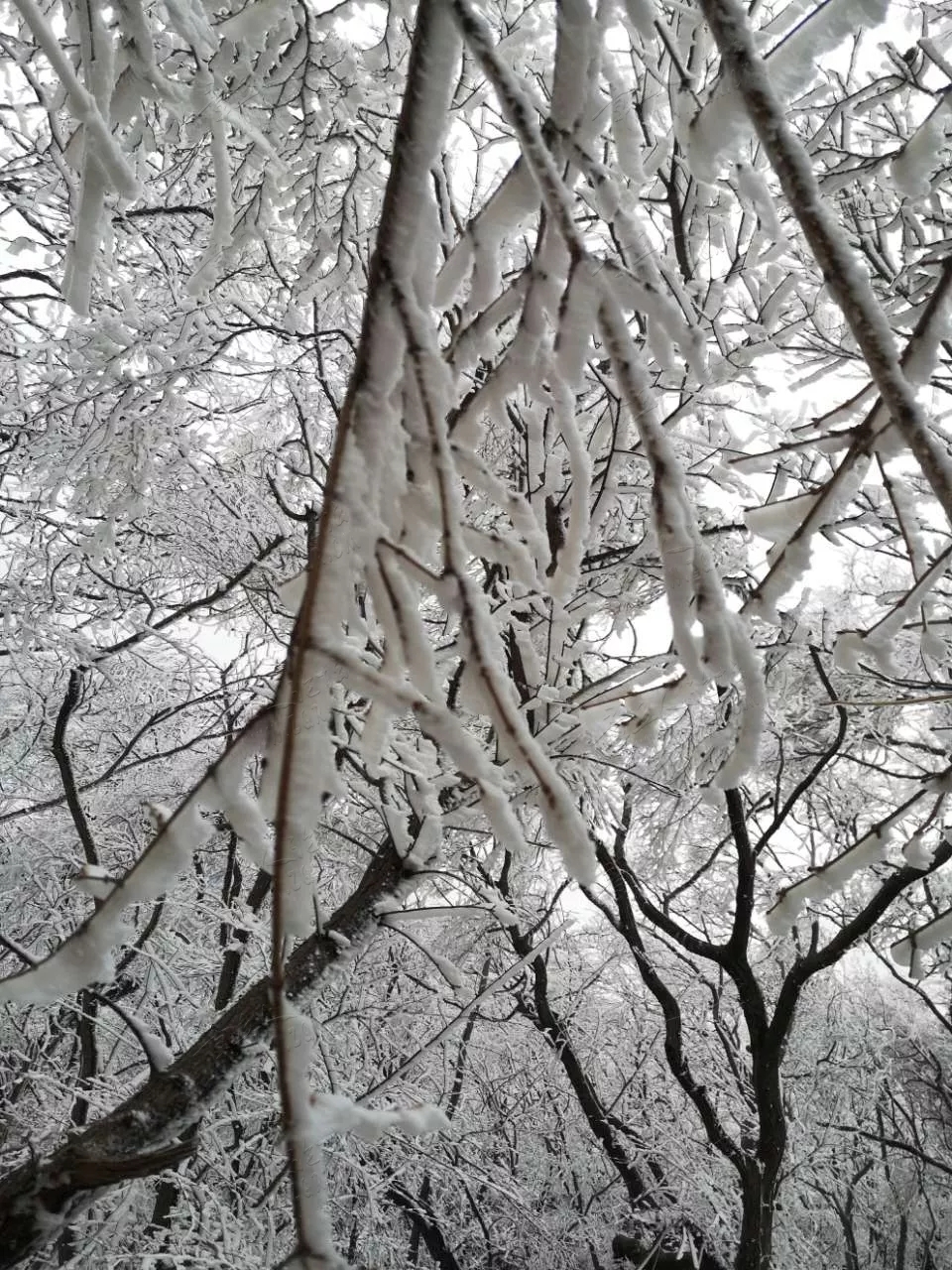 20190213_92150_1550036245909.jpg
