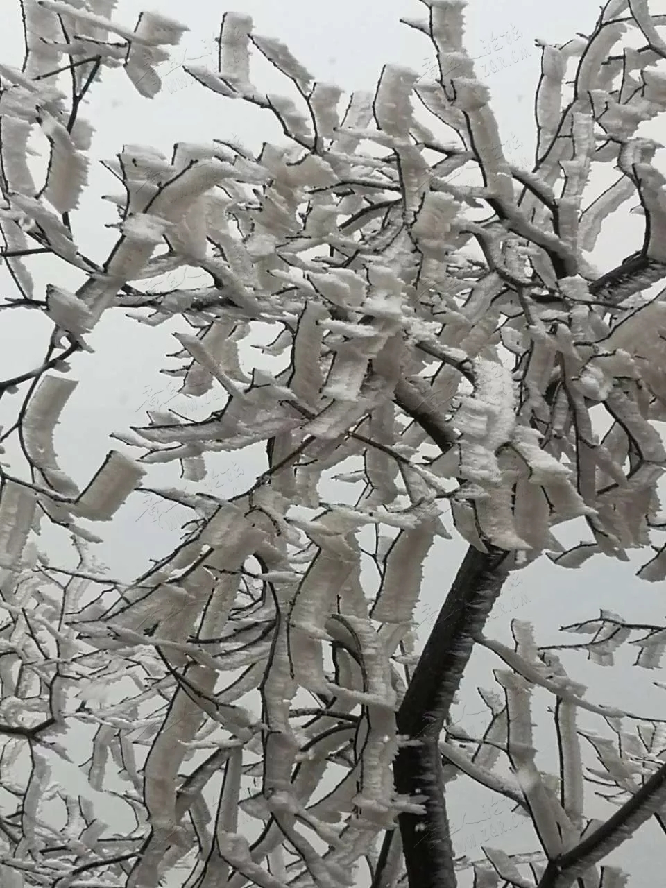 20190213_92150_1550036246414.jpg