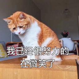 u=1513330921,2991632847&amp;fm=26&amp;gp=0.jpg