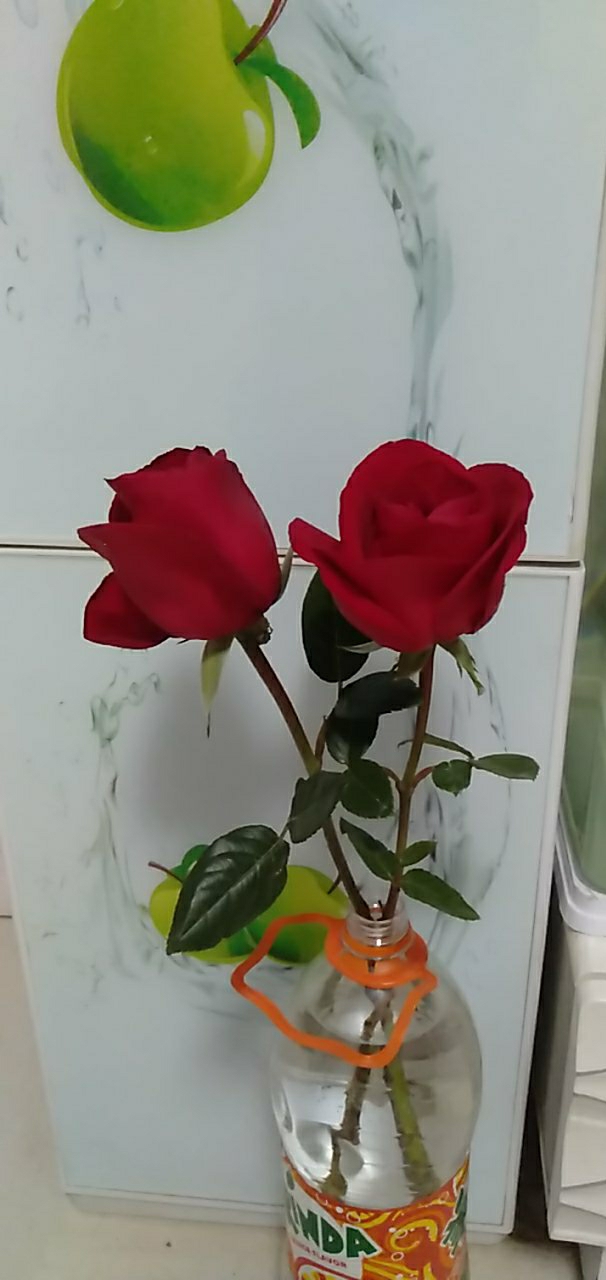 20190214_21154_1550149696381.jpg