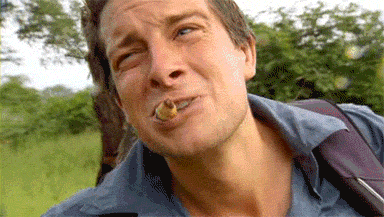 20190217_2762_1550412413588.gif