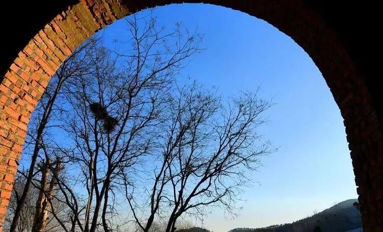 微信图片_20190222110341.jpg