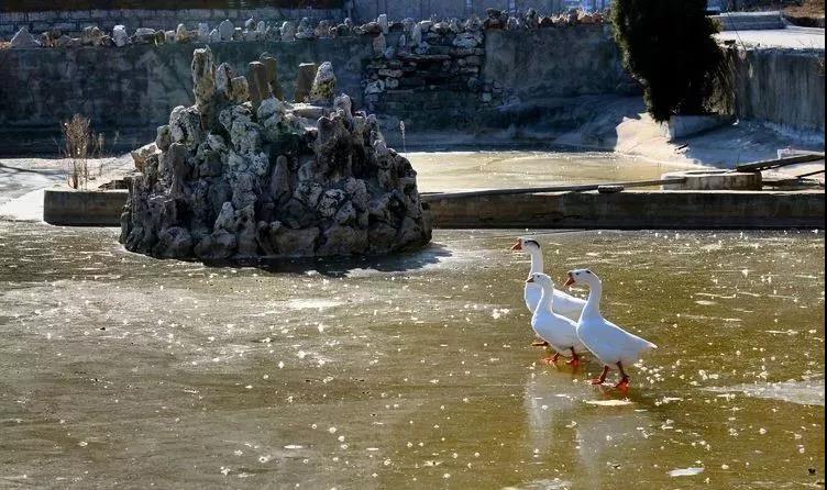 微信图片_20190222110355.jpg